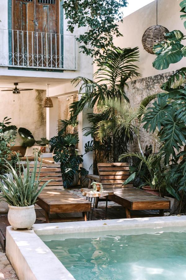 Casa Mezcla - Bed & Breakfast Mérida Zewnętrze zdjęcie