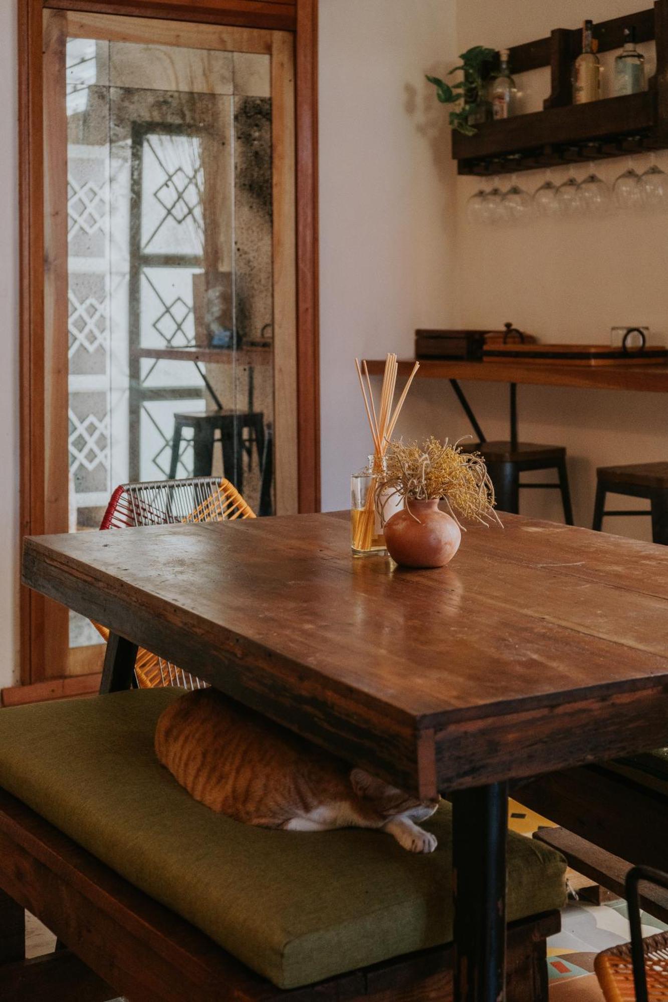 Casa Mezcla - Bed & Breakfast Mérida Zewnętrze zdjęcie